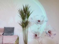 -美肤盾祛痘·问题肌头疗管理中心