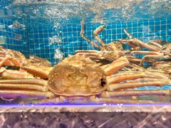 -恒记饭店·海鲜明档(淹城店)