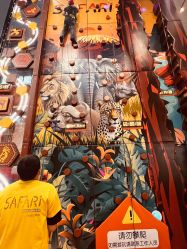 -卡通尼·Safari非洲探索乐园·生日会(金桥国际商业广场店)