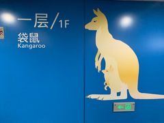 -虹桥综合交通枢纽-P6停车库