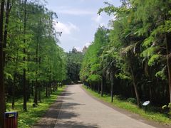 -金山植物公园