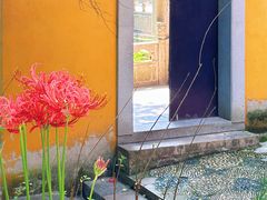 -雨花胜境
