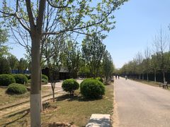 -永定河休闲森林公园