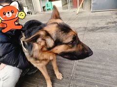 -野水沟小商品批发市场