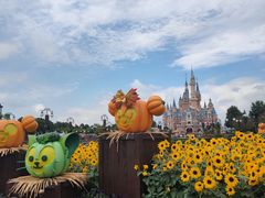 -上海迪士尼度假区