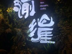 -渝涯重庆豆花老火锅(中赢国际店)