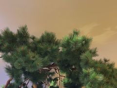 -桂满陇·蟹黄小笼汤包(中山公园店)