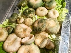 -山菌美食苑(振兴路店)