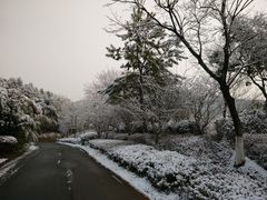 -苏州环秀晓筑养生度假村