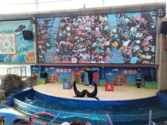 -成都浩海立方海洋公园