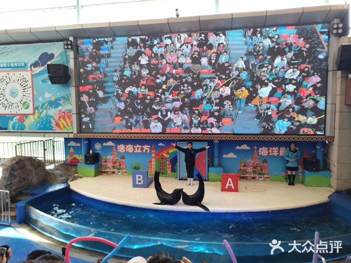 成都浩海立方海洋公园图片