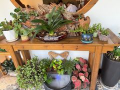 -茶油香闽南菜·花园餐厅(前埔店)
