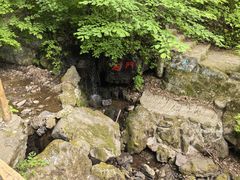 -天女山森林公园