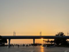 -宝安西湾红树林湿地公园