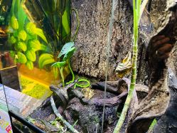 -酷嗒动物文化乐园(cutezoo西溪乐天城店)