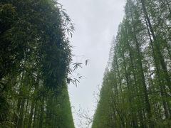 -上海怡沁园度假酒店