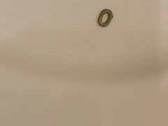 -龙之梦万丽酒店青餐厅