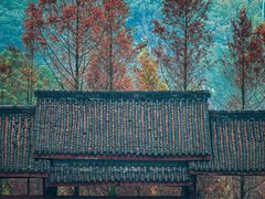 -重庆彩云湖湿地公园