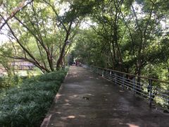 -西湖风景区-江洋畈生态公园