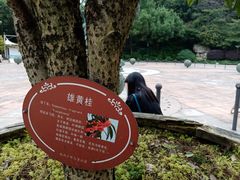 -杭州少年儿童公园