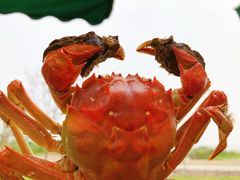 -七的湖·晚芳亭·阳澄湖农家菜·大闸蟹(莲花岛店)