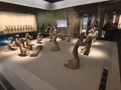 -徐州博物馆