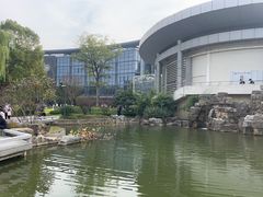 -金陵中学(河西分校)