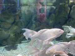 -正佳极地海洋世界