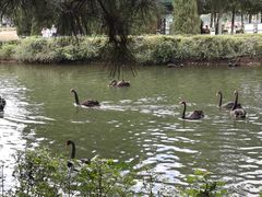 -长白岛森林公园