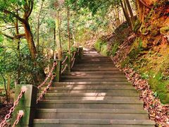 -缙云山景区