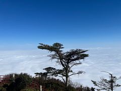 -峨眉山风景名胜区