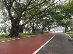 -南宁南湖公园