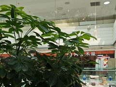 -大树餐厅(红旗街万达店)