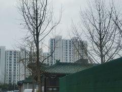 -李小老烧饼(常营民族家园店)