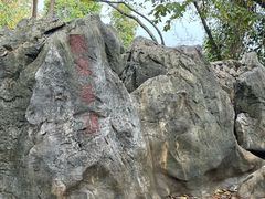 -韬光茶庵