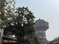 -高旻寺