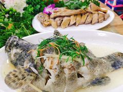 清蒸石斑鱼-刘记糟粕醋海鲜烧烤