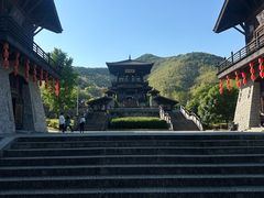 -大唐贡茶院