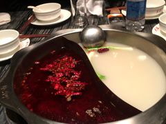 鸳鸯锅-重庆大队长火锅(凤城八路店)