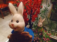 -苗小坛酸汤鱼(酒仙桥店)