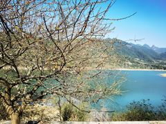 -广州市流溪河国家森林公园