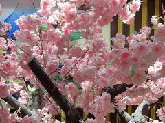 -学习谷日语培训日本留学·多语种外语教学(海淀人大分部)