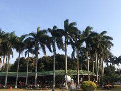 -侯臣咖啡文化村