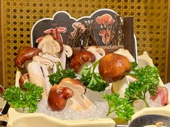 -季季山•云南野生菌火锅(上海首店)