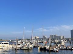 -巧克力渔家.小船海鲜家常菜(三浴场店)
