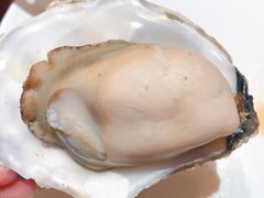 -郑庄脂渣海鲜楼(九水路店)