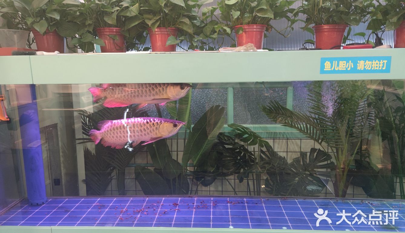 安利一家藏在小区里的量大优惠的串串店