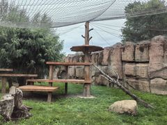 -齐齐哈尔龙沙动植物园