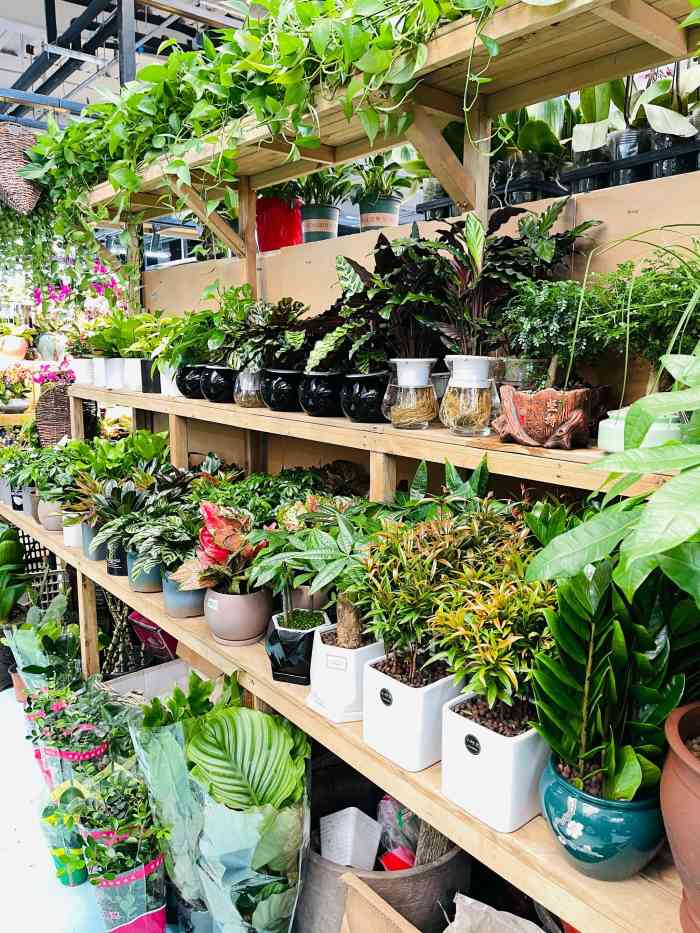 蟹岛国际花卉-"蟹岛里新开业的花卉市场,里面很宽敞,环境.