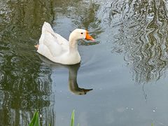 -三里河公园